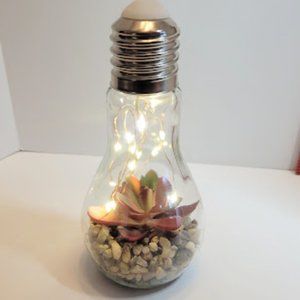 FAUX FOLIAGE TERRARUIM IN BULB WITH LED STRING LIGHTS 7"X3.5"